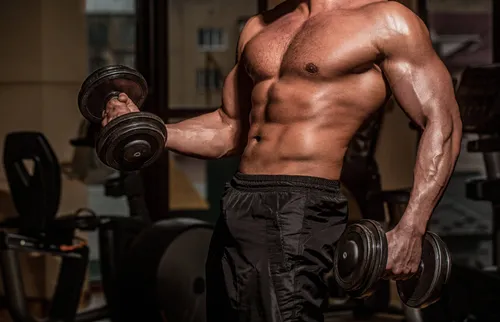 shutterstock 2488542357