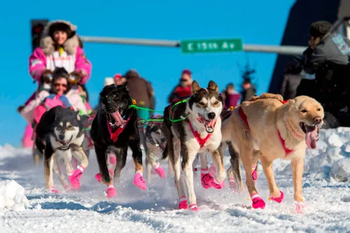 image-from-rawpixel-id-4031900-original-2048x1363