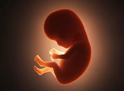 Scherm­afbeelding 2025-08-18 om 06.53.59