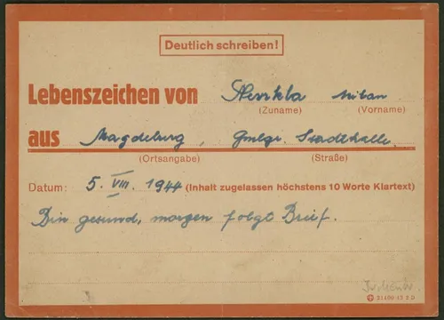 eines-der-lose-der-auktion