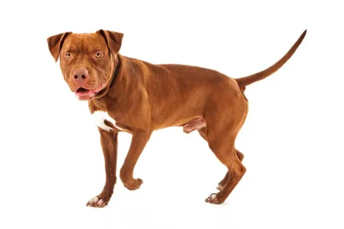 6df79e3e-6e15-4e27-8f01-70a767007382___