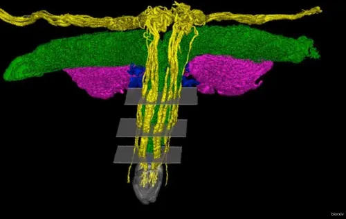 Scherm­afbeelding 2026-04-13 om 06.45.52