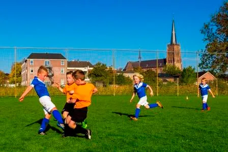 003 chris veenendaal avios aquila minis website