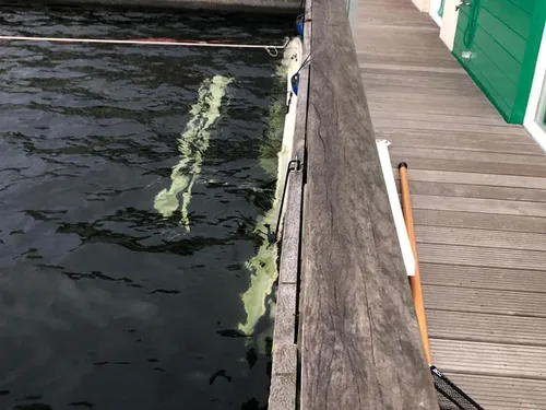 120642495 3360543964060228 1164934613037668066 n