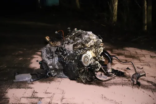 20210219000219 img 9871