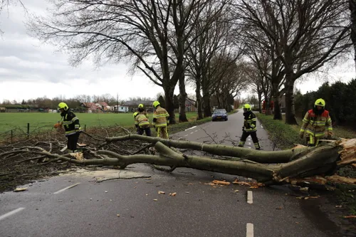 20210313161605 img 0690