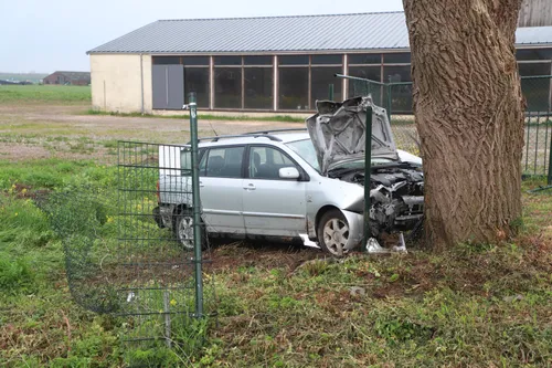 20210429172142 img 2467 copy 3120x2076