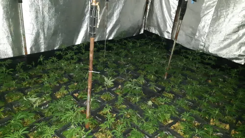 243957791 4673300262701020 8376141254961206817 n