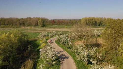 foto bloesem appeltjesdijk 1