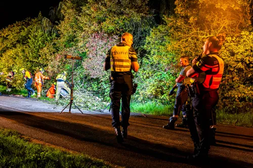 34a95a07-f33e-4c36-a56c-9f5c66c86061