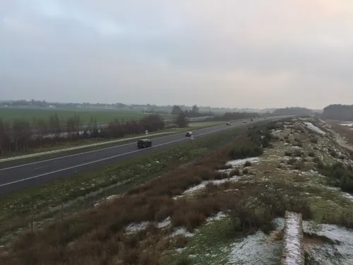 photo 5866379307599903560 y