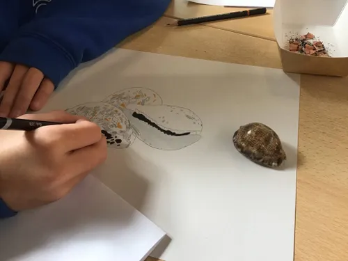 vledder tekenworkshop hans post