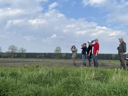 Landsch DR Kievitskuikens in de kijker