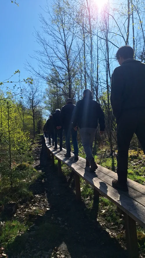 Hoogersmilde opening plankenpad wordt bewandeld