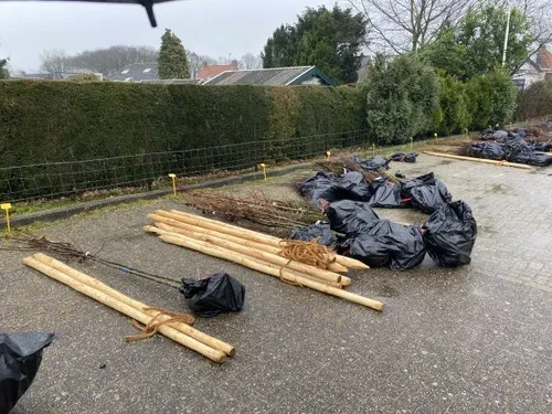 331930379 1189117225065756 7969481641622438340 n