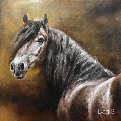 4dg challenge klaar 2