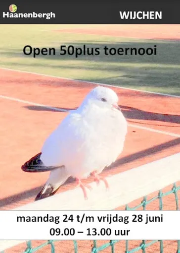 50plus haanenbergh