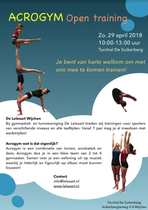 acrogym open training poster