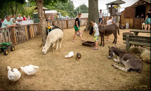 batenburgse dag 2019 01