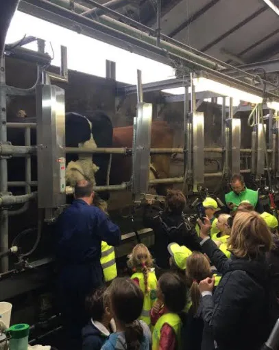 beestenbenders 041017 02