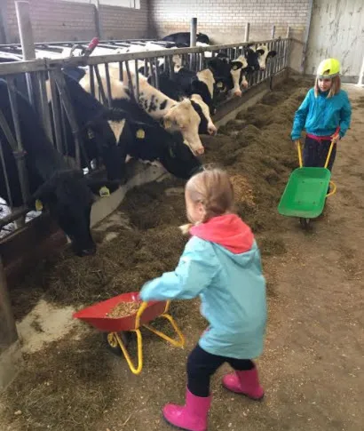 beestenbenders 041017 03