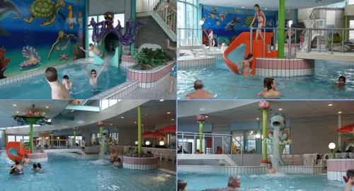 collage foto de meerval