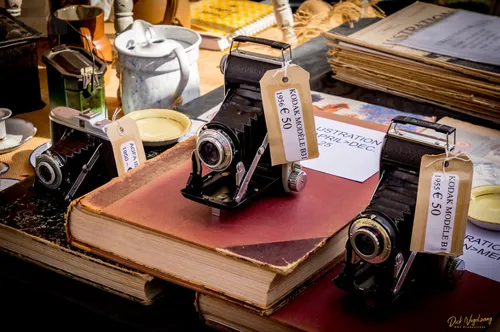 curiosafair wijchen 2019 02