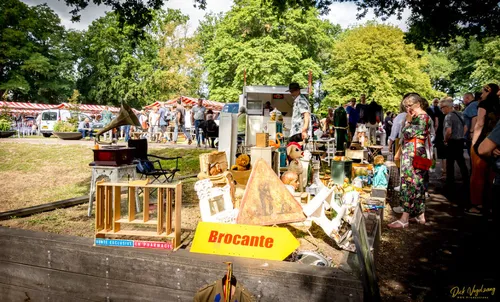 curiosafair wijchen 2019 06