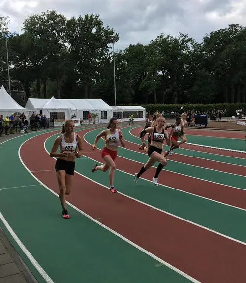 diede gerdsen av wijchen