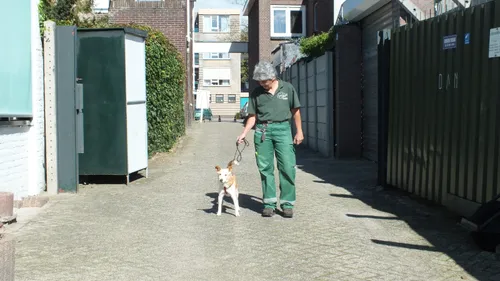dierenambulance nijmegen 01