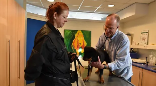 dierenkliniek kwint 03