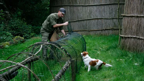 eendenkooi batenburg