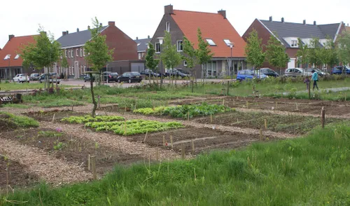 extra 2013 tuingroen