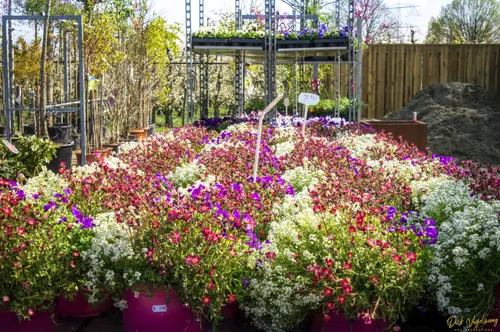 groen genieten lepona 05