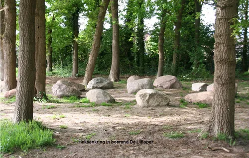 heksenkring in bosrand de uitloper