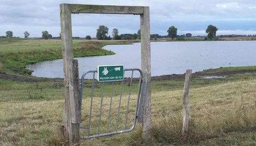 honden aan de lijn e1554620973867