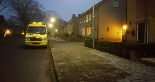 honden zandweg 02