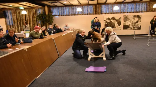 hondenschool en uitlaatservice kersten 0001