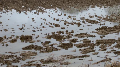 hoog water wijchen 2018 15
