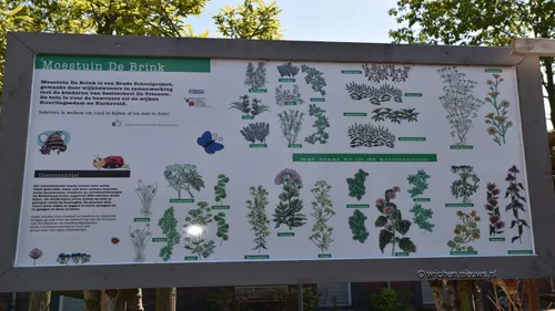 insectenhotel wijchen 2017 11