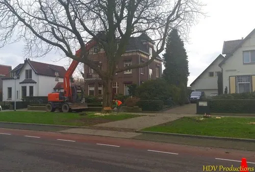 kastanjebomen kasteellaan 04