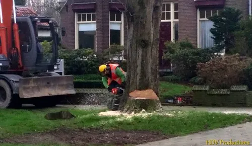 kastanjebomen kasteellaan 05