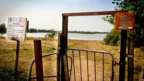 loonse waard honden 01