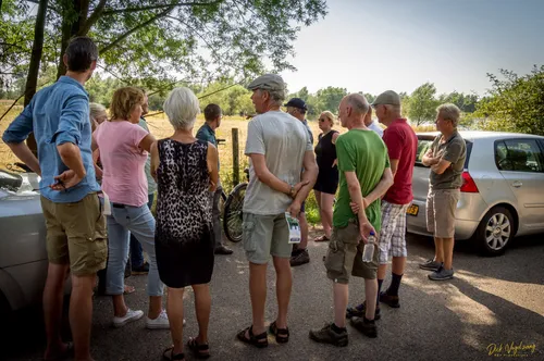 loonse waard honden 02