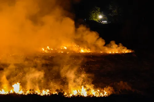 lrm export 101586648588144 20190422 021841925