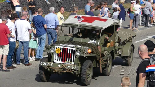 market garden 2019 0145