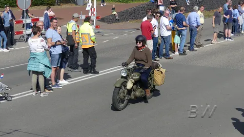 market garden 2019 0150