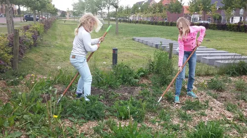 moes en pluktuin 02