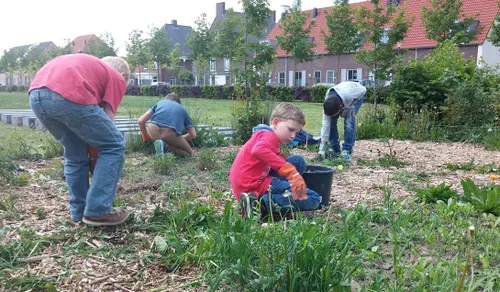 moes en pluktuin 03