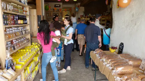 molen wijchen 2018 0007